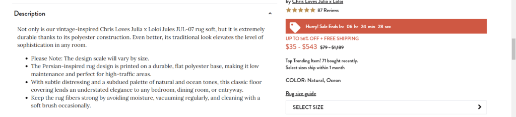 Accurate product description for a Chris Loves rug