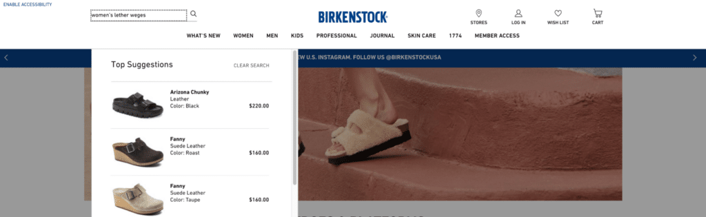 best ecommerce search engines
